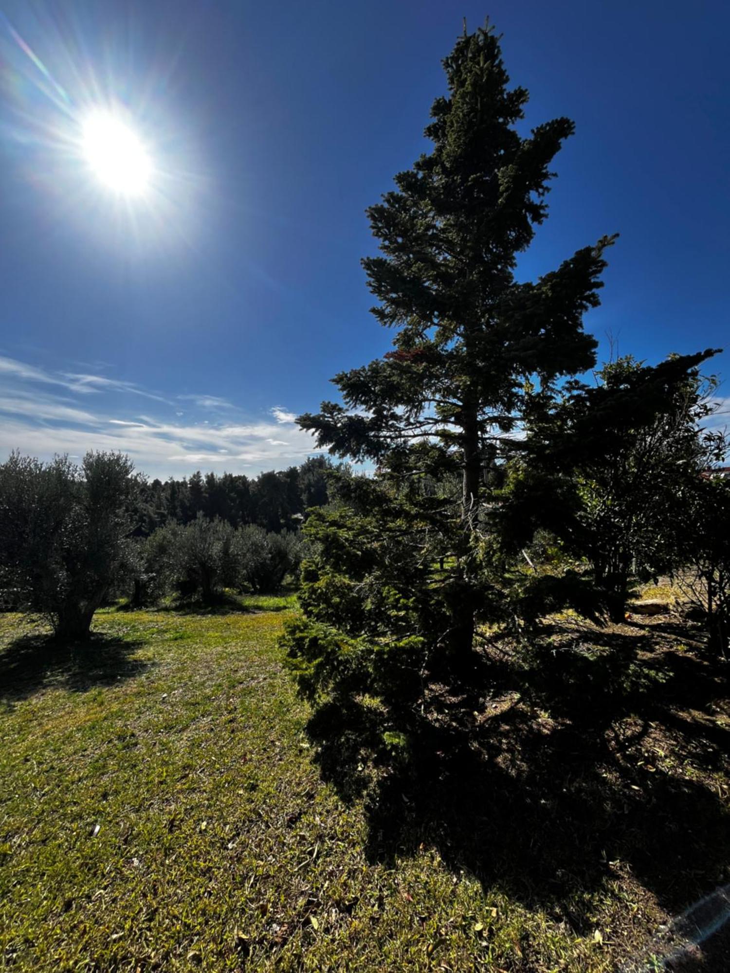 Villa Cultura Elani Halkidiki Siviri Buitenkant foto