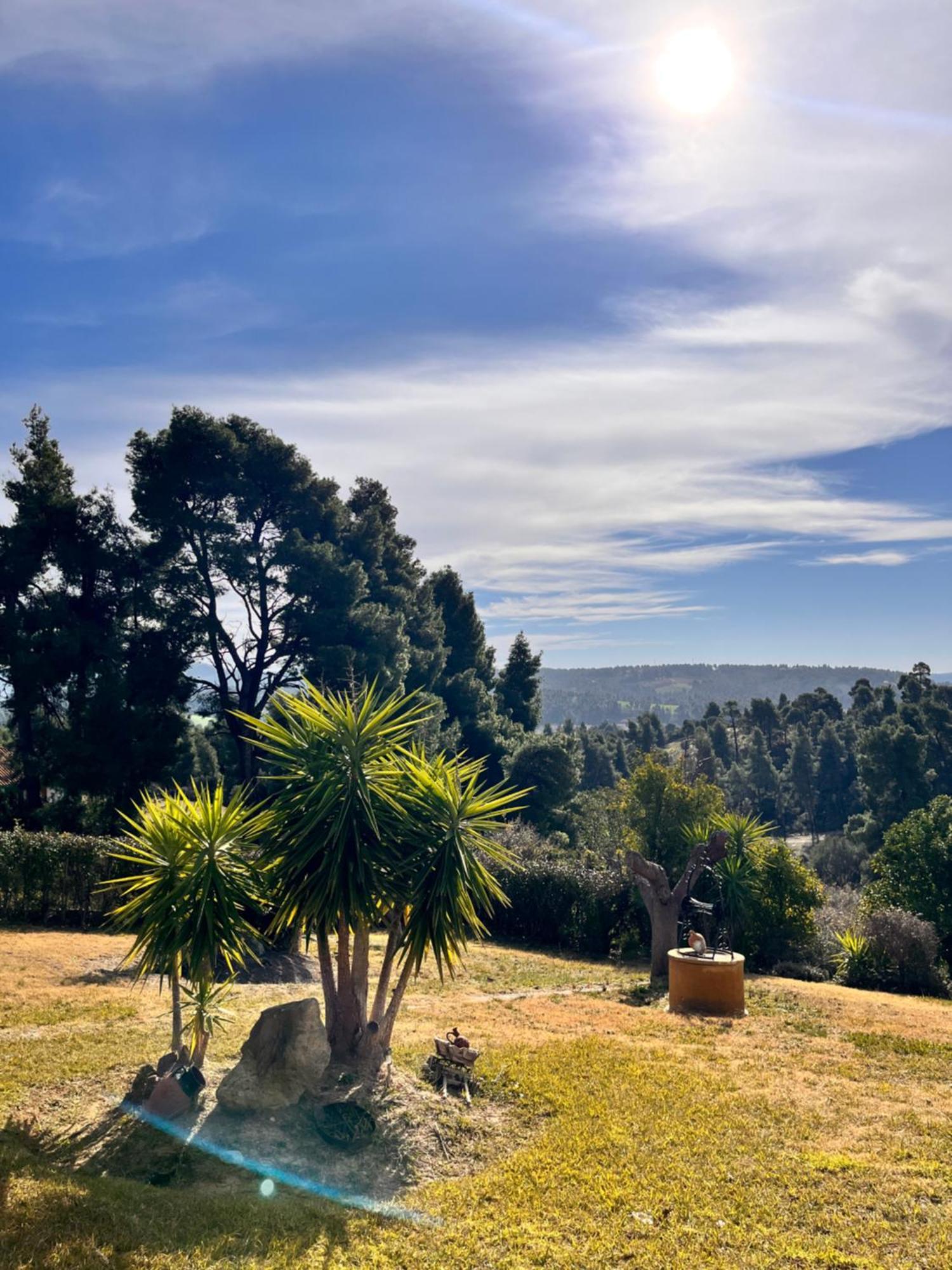 Villa Cultura Elani Halkidiki Siviri Buitenkant foto